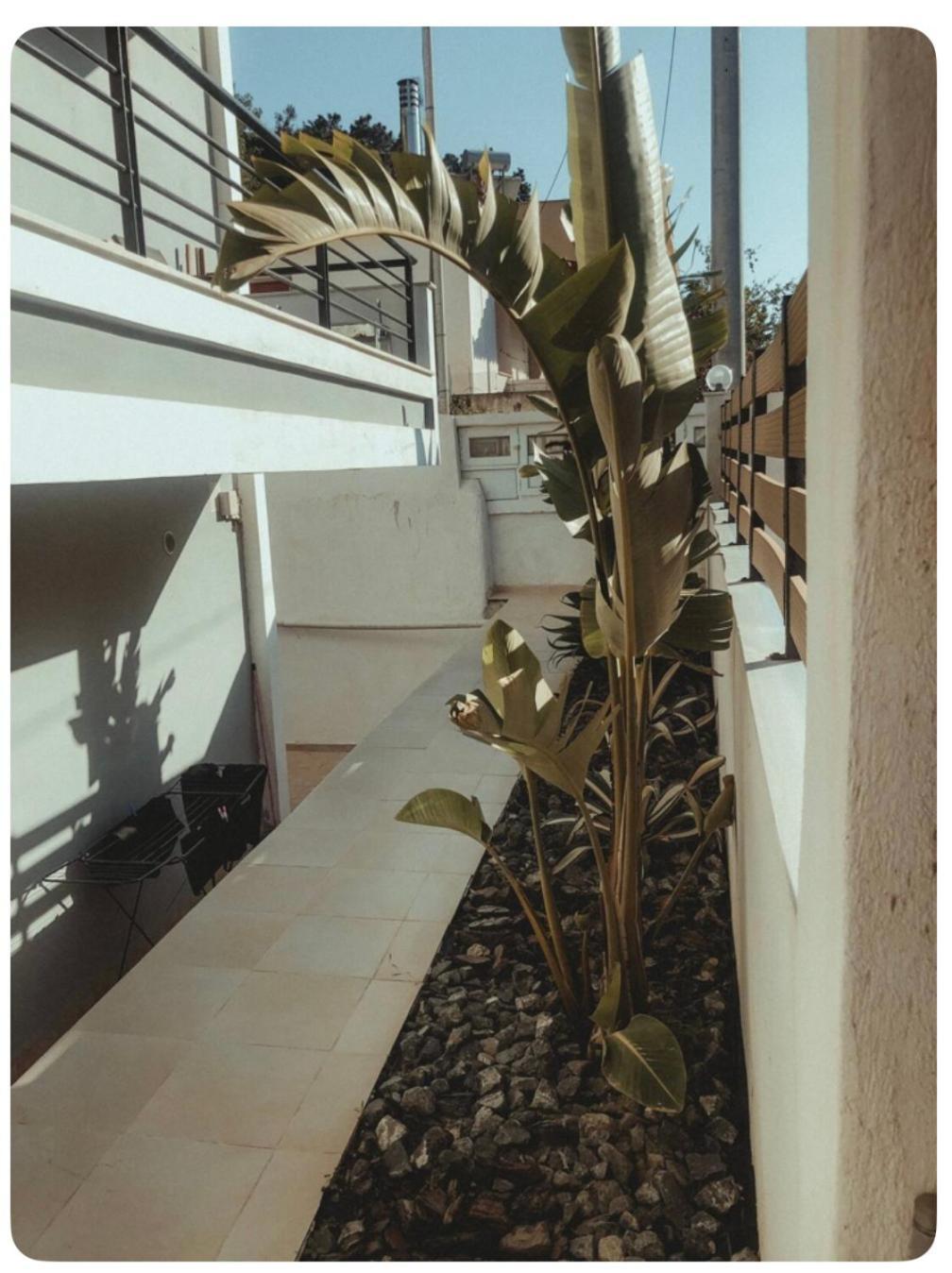 Rosemary Modern House In The City Center Corinth Ngoại thất bức ảnh